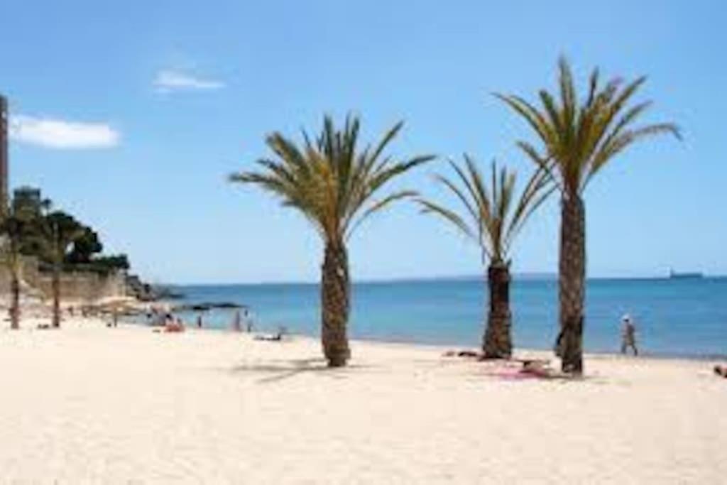 Mi Pequena Bahia Apartment Alicante Ngoại thất bức ảnh